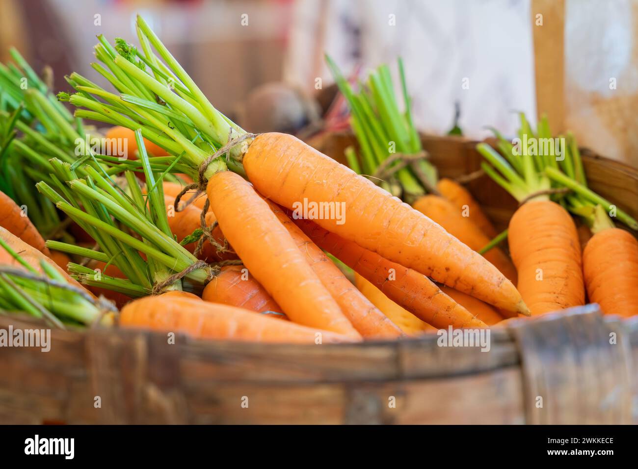 Ein Haufen Karotten im Korb. Frische Karotten. Frische Bio-Karotten. Stockfoto