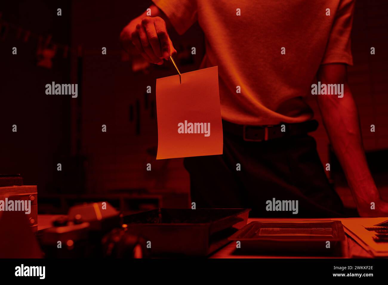 Zugeschnittene Aufnahme eines Fotografen, der eine Pinzette mit Fotopapier in einer Dunkelkammer mit rotem Licht hält Stockfoto
