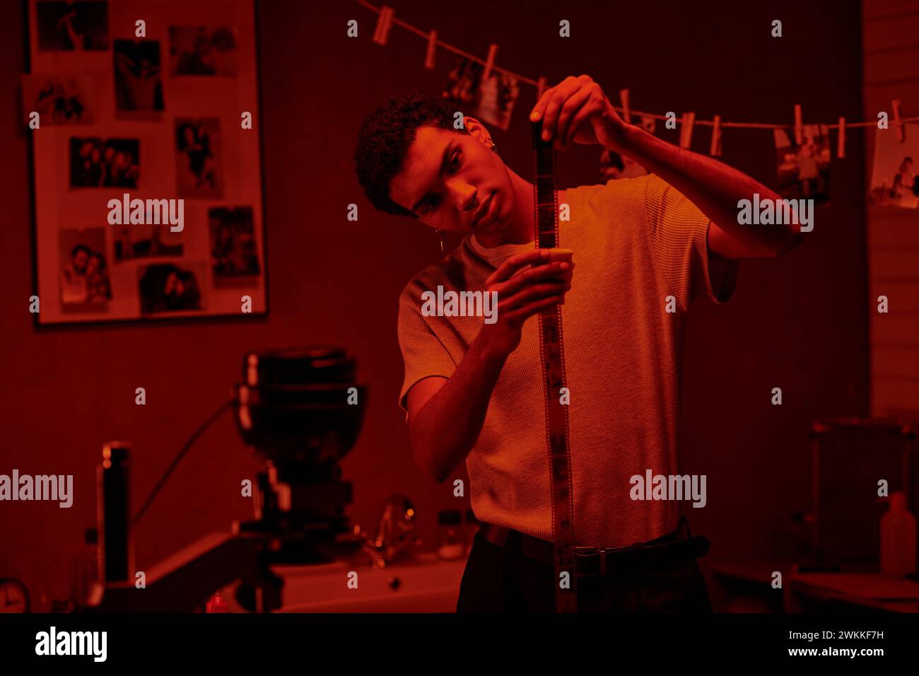 Fokussierter afroamerikanischer Fotograf untersucht entwickelten Filmstreifen, gebadet in roter Dunkelkammer Stockfoto
