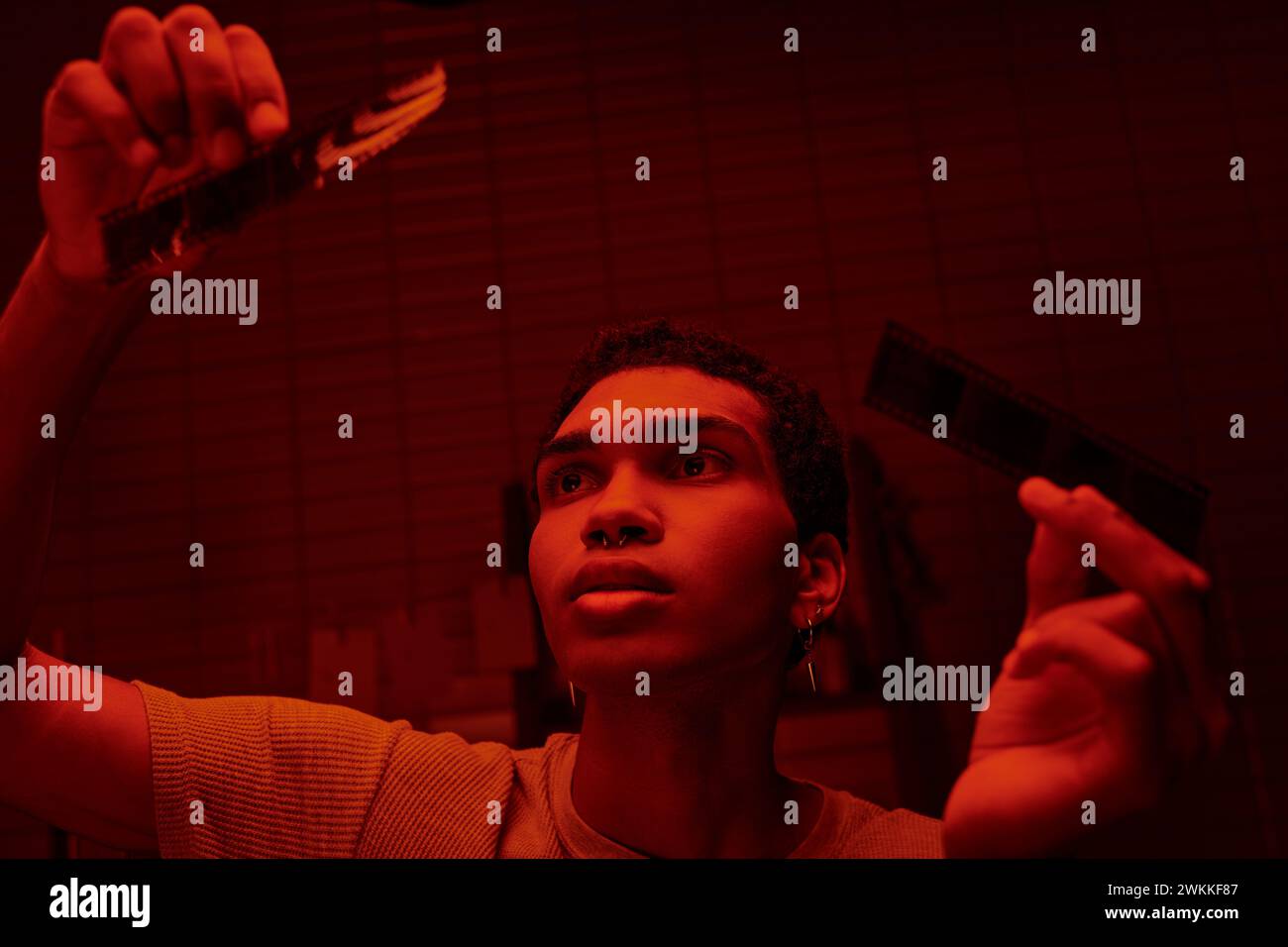 Fokussierter afroamerikanischer Fotograf, der entwickelte Filmstreifen in einer rotbeleuchteten Dunkelkammer vergleicht Stockfoto