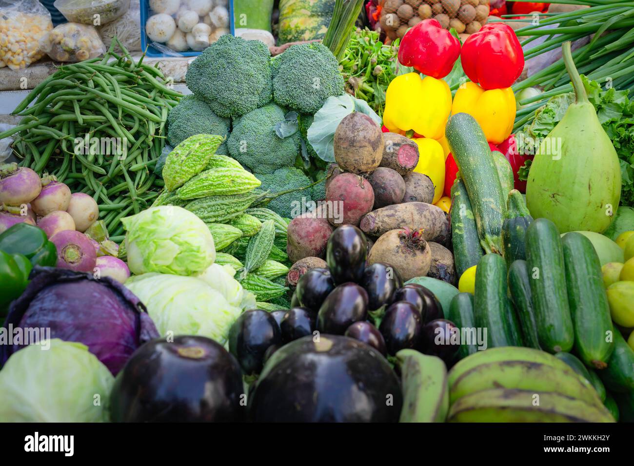 Ein Straßenstand, der eine große Auswahl an reifem, farbenfrohem Gemüse von Paprika, Bohnen, Gurken bis zu Auberginen und vielen mehr in Delhi, Indien, verkauft. Stockfoto