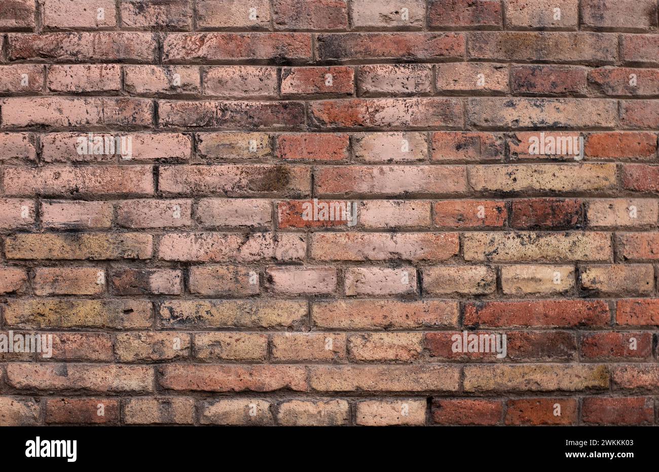 Ziegelwand in roter Farbe, Panorama des Mauerwerks Stockfoto