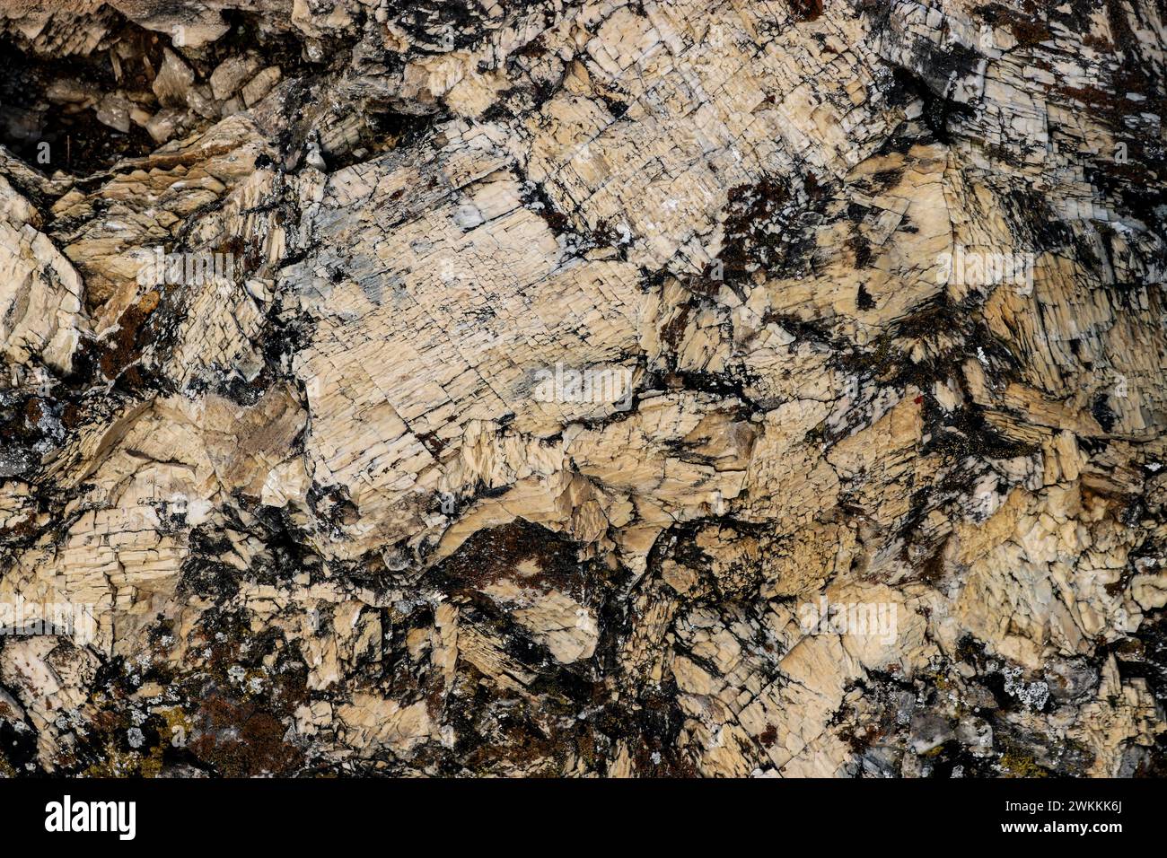 Quarz- und Kalksteinkonglomerat, goldfarbene Granitstruktur, Hintergrund für Vorlage. Stockfoto