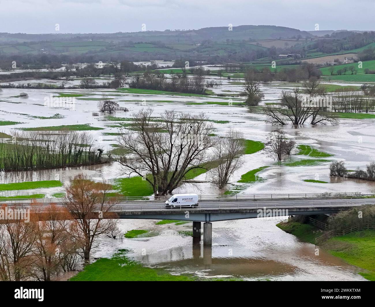 Axminster, Devon, Großbritannien. Februar 2024. Wetter in Großbritannien. Überflutete Felder bei Axminster in Devon, nachdem der Fluss Axe nach starkem Regen am Morgen seine Ufer platzte. Bildnachweis: Graham Hunt/Alamy Live News Stockfoto