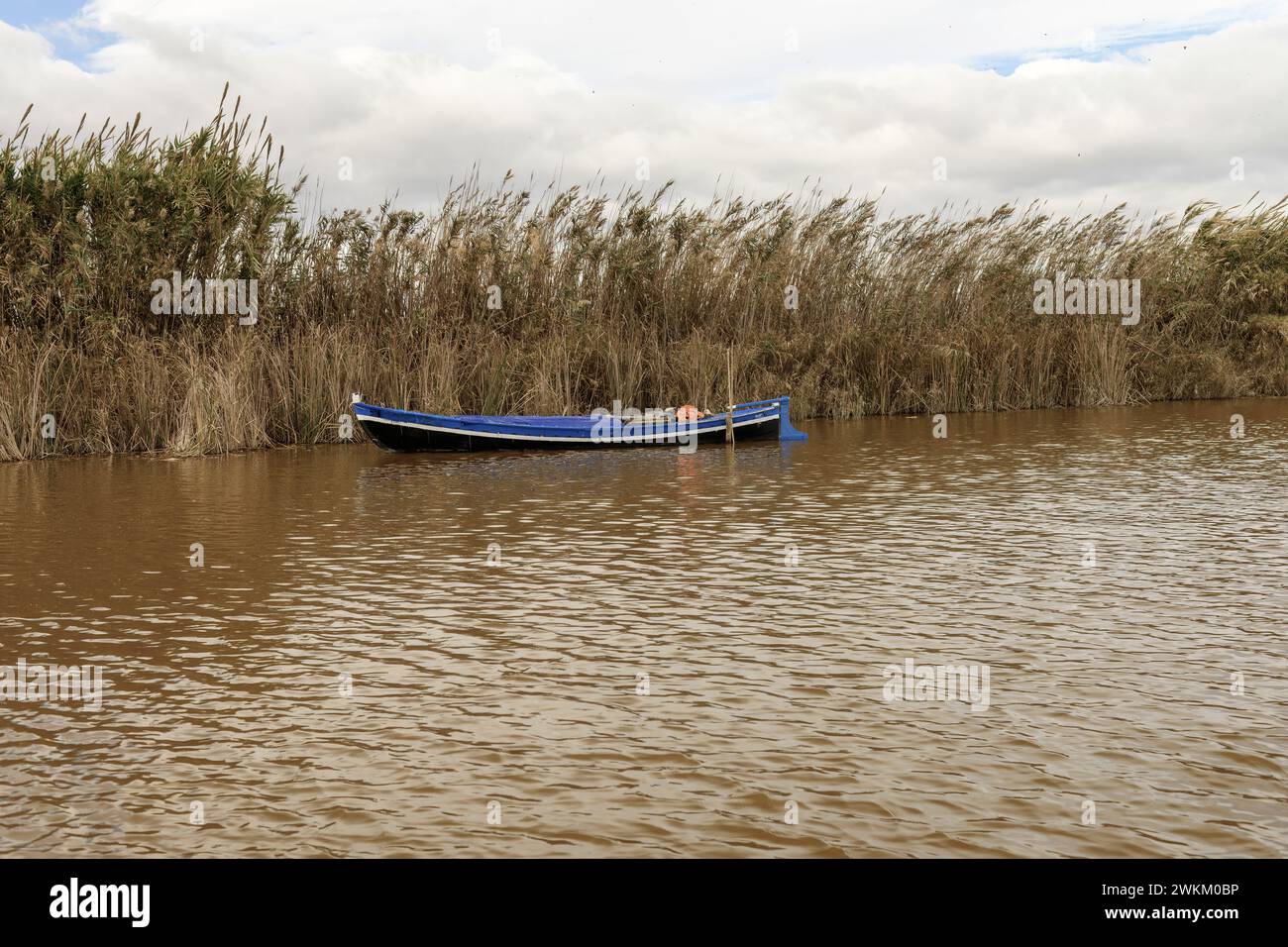 Ein einsames blaues Boot liegt verlassen zwischen hohem Schilf an den schlammigen Ufern eines braunen Wasserflusses Stockfoto