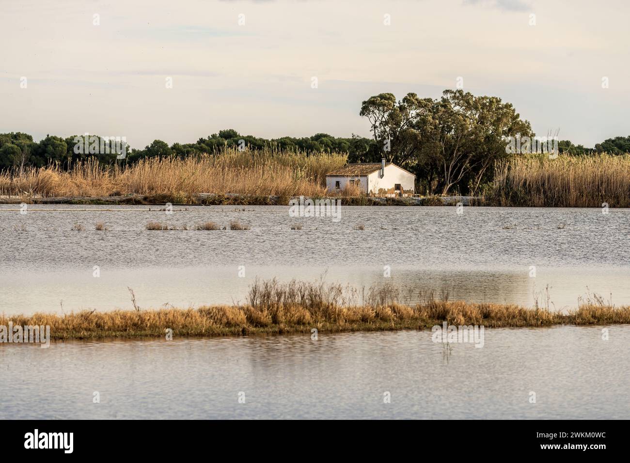 Ein charmantes Reetdachhaus steht am Ufer im Albufera Naturpark in der Nähe von Valencia und bietet einen ruhigen ländlichen Rückzugsort. Stockfoto