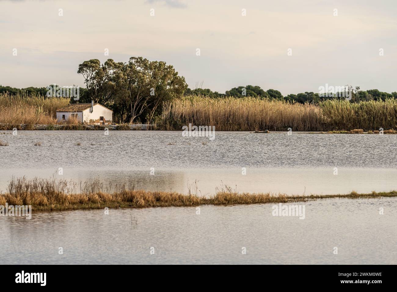 Ein charmantes Reetdachhaus steht am Ufer im Albufera Naturpark in der Nähe von Valencia und bietet einen ruhigen ländlichen Rückzugsort. Stockfoto