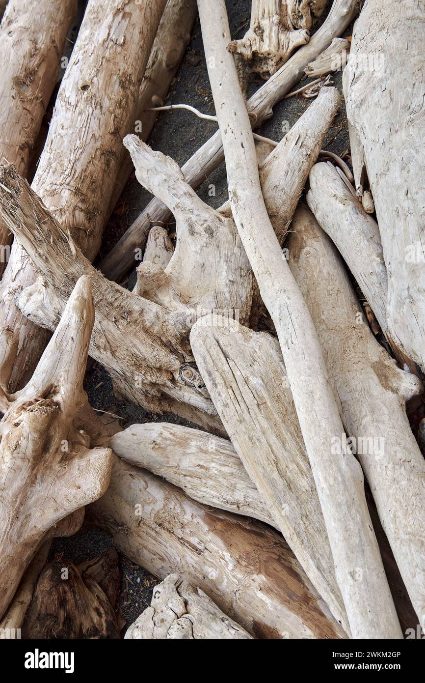 Driftwoods natürliche abstrakte Tapete Naturmuster. Glattes Treibholz, Baumstämme, aufgehäufte Baumstämme, die von der Welle zum Sandstrand des Meeres getragen werden. Stockfoto