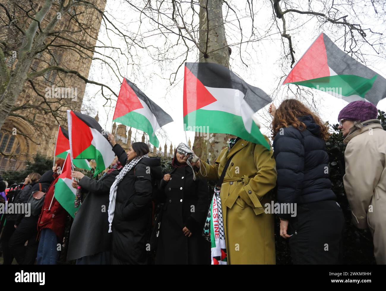 London, UK, 21. Februar 2024. Während sich im Unterhaus chaotische Szenen entwickelten, in denen der Sprecher Lindsay Hoyle gegen das Protokoll ging und eine Änderung der SNP und der Govt zur Forderung nach einem sofortigen Waffenstillstand zuließ, schlangen sich palästinensische Unterstützer an, um ihre eigenen Abgeordneten zu unterstützen, um für den Waffenstillstand zu stimmen. Stockfoto