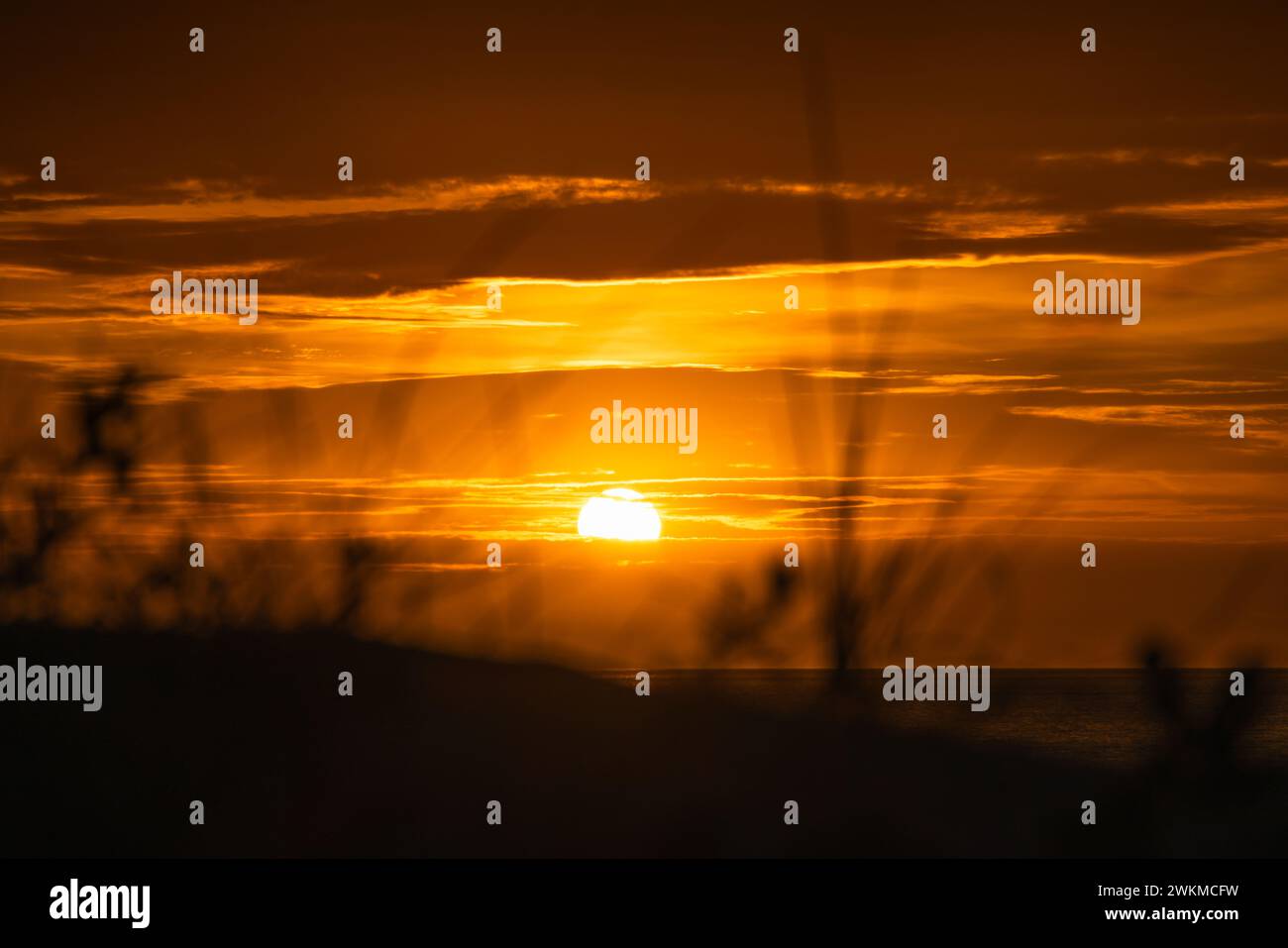 Sonnenuntergang über Dünengras bei Sonnenuntergang Stockfoto