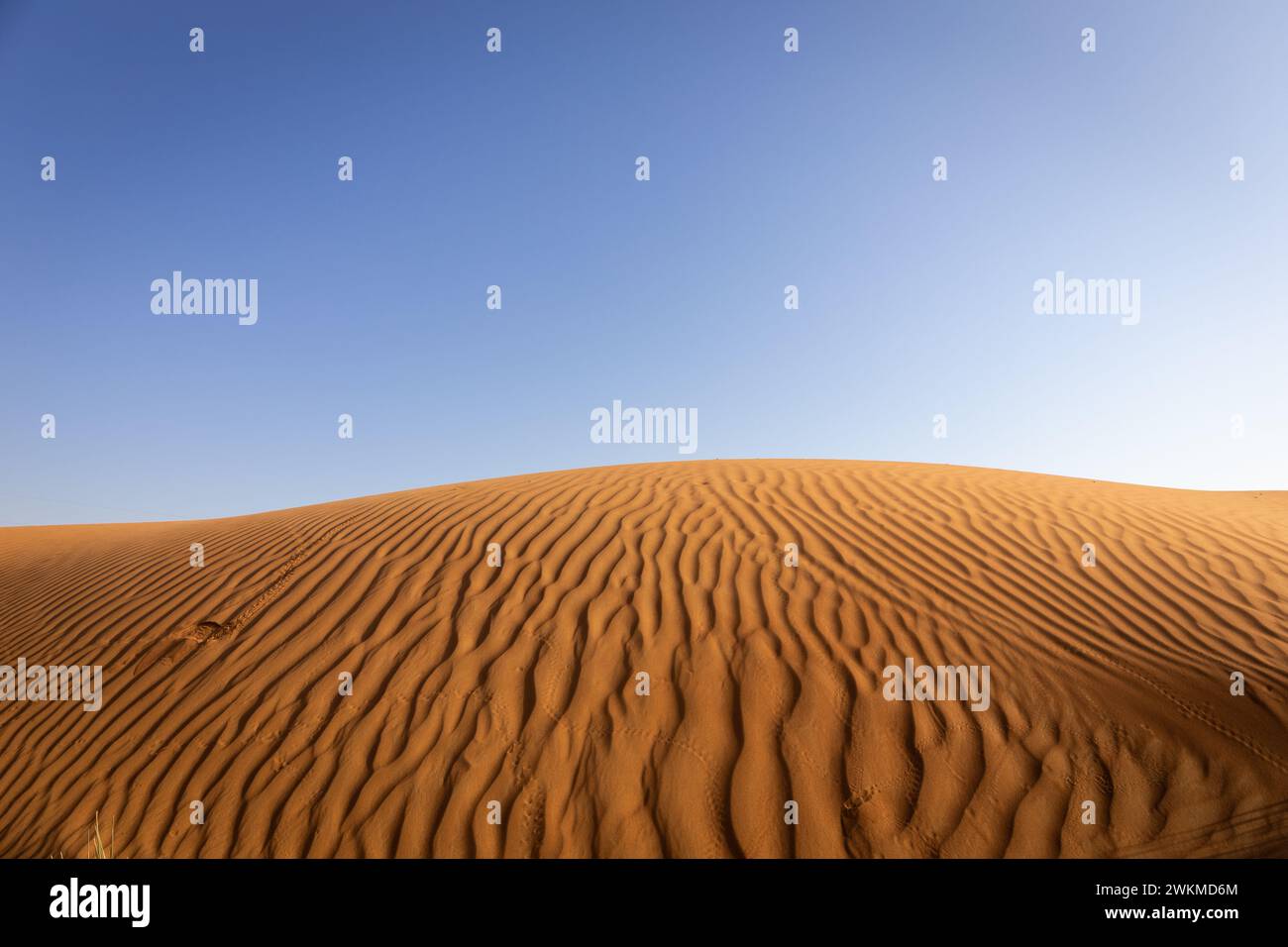 Einfache, goldene Wüstendünen-Landschaft mit gewellten Sandmustern, blauem Himmel, Dubai, Vereinigte Arabische Emirate. Stockfoto