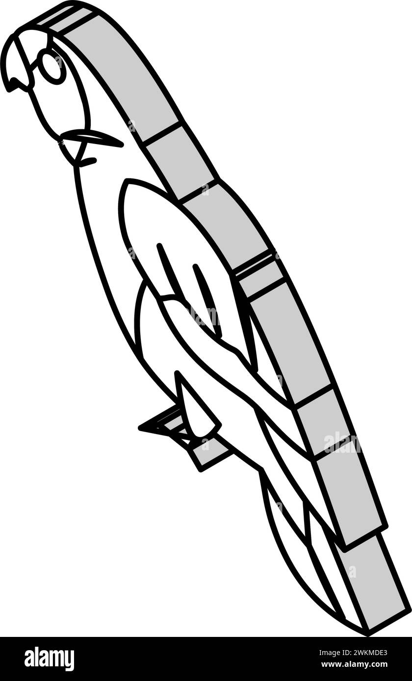 amazon Papageivogel isometrische Icon Vektor Illustration Stock Vektor