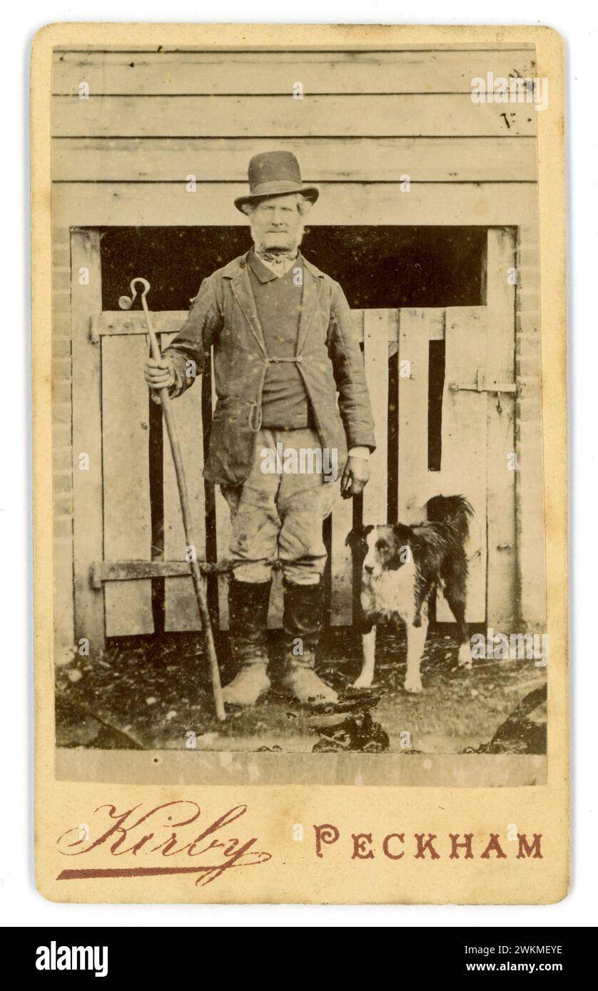 Original viktorianische Carte de Visite (Visitenkarte oder CDV) eines Arbeiters - ein Schäfer mit hohem gekröntem Bowler Hut, mit einem Gauner, mit Lederstiefeln mit geknöpften Gamaschen, mit seinem treuen Collie Schäferhund. Der Mann könnte seine Schafe auf dem Weg zu den Fleischmärkten Londons wie Smithfields von so weit wie Wales getrieben haben. Vielleicht ein Waliser. Viele Schäfer weideten ihre Tiere auf dem Common in Peckham Village, bevor sie nach London gingen. Fotograf: Theophilus Claudius Kirby, Peckham, SE. London, Borough of Southwark, UK Circa 1880's Stockfoto