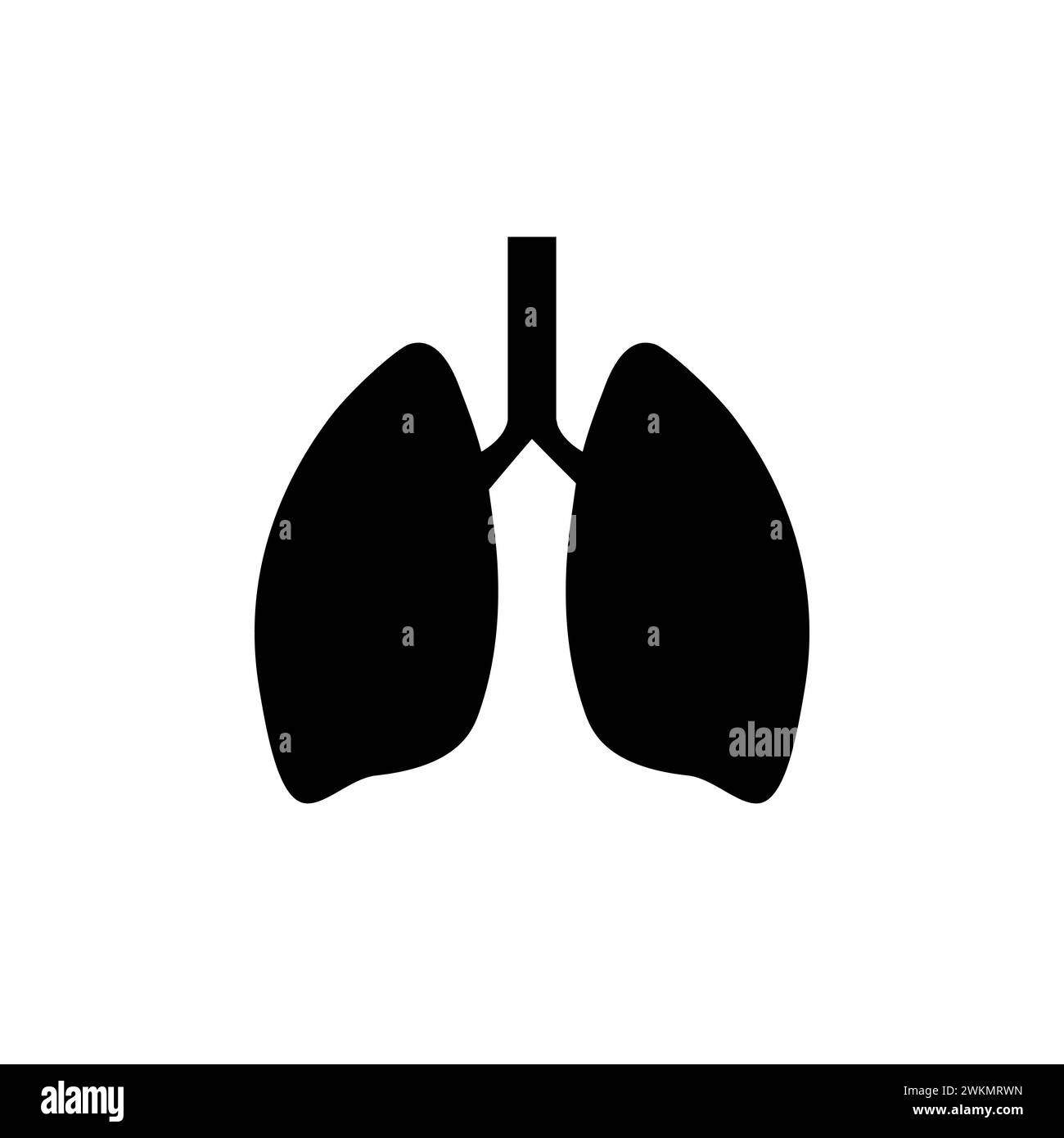 Lunge menschliches Symbol, Atmungssystem gesunde Lunge Anatomie flache medizinische Organ Symbol Stock Vektor