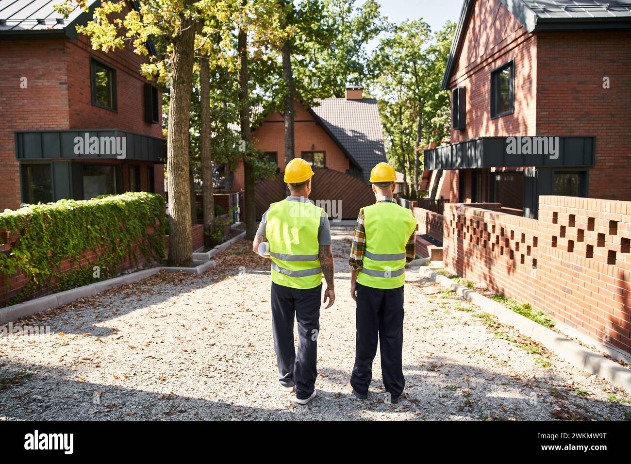 Rückansicht von engagierten Bauarbeitern in Sicherheitswesten mit Bauplan vor Ort, Hüttenbauer Stockfoto