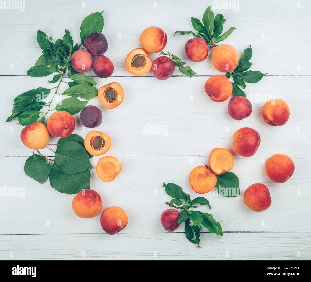 Frische Aprikosenfrüchte. Süße Aprikosen mit Blättern. Herbst. Aprikosenernte. Köstliche Früchte für die Gesundheit. Vitamine. Gartenarbeit. Diät. Richtige Ernährung. Stockfoto