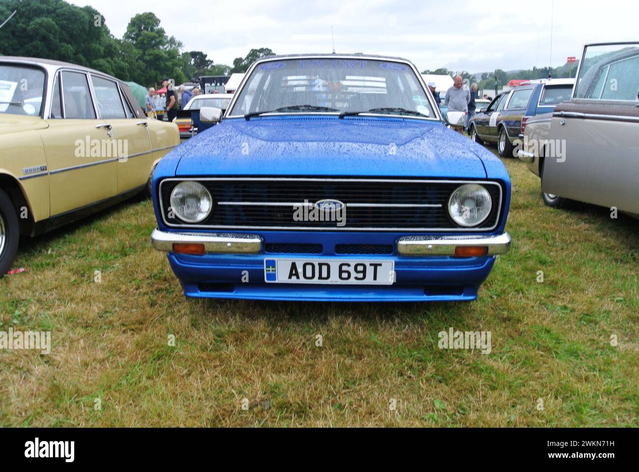 Ein Ford Escort Mk.2 1300 aus dem Jahr 1978 parkte auf der 48th Historic Vehicle Gathering in Powderham, Devon, England, Großbritannien. Stockfoto