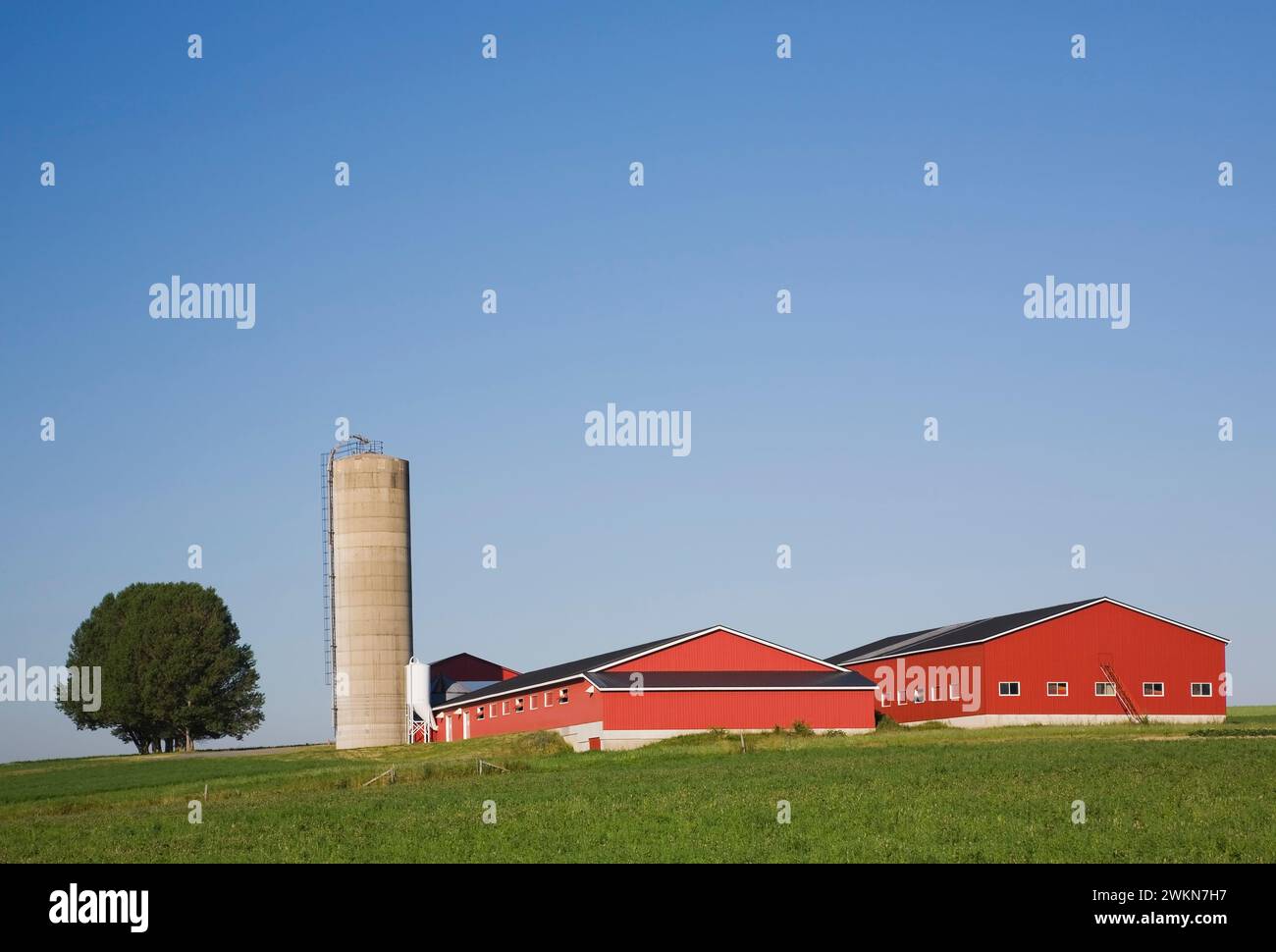 Rote und schwarze Milchviehgebäude mit Getreidesilo im Sommer, Saint-Francois, Ile d'Orleans, Quebec, Kanada. Stockfoto