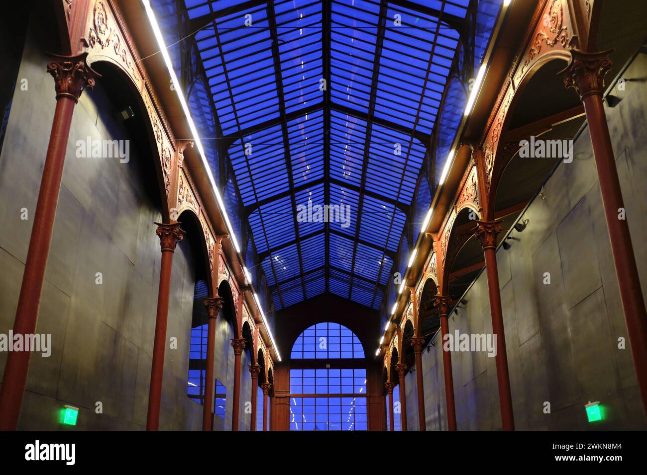 Im Mercado Ferreira Borges in Porto, Portugal Stockfoto