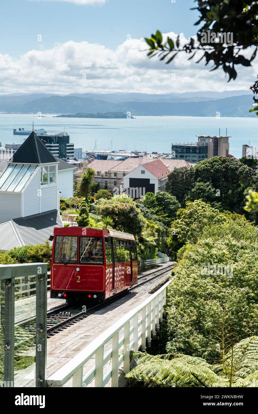 Blick über die Stadt Wellington vom Cable Car Summit, Wellington, Neuseeland Stockfoto