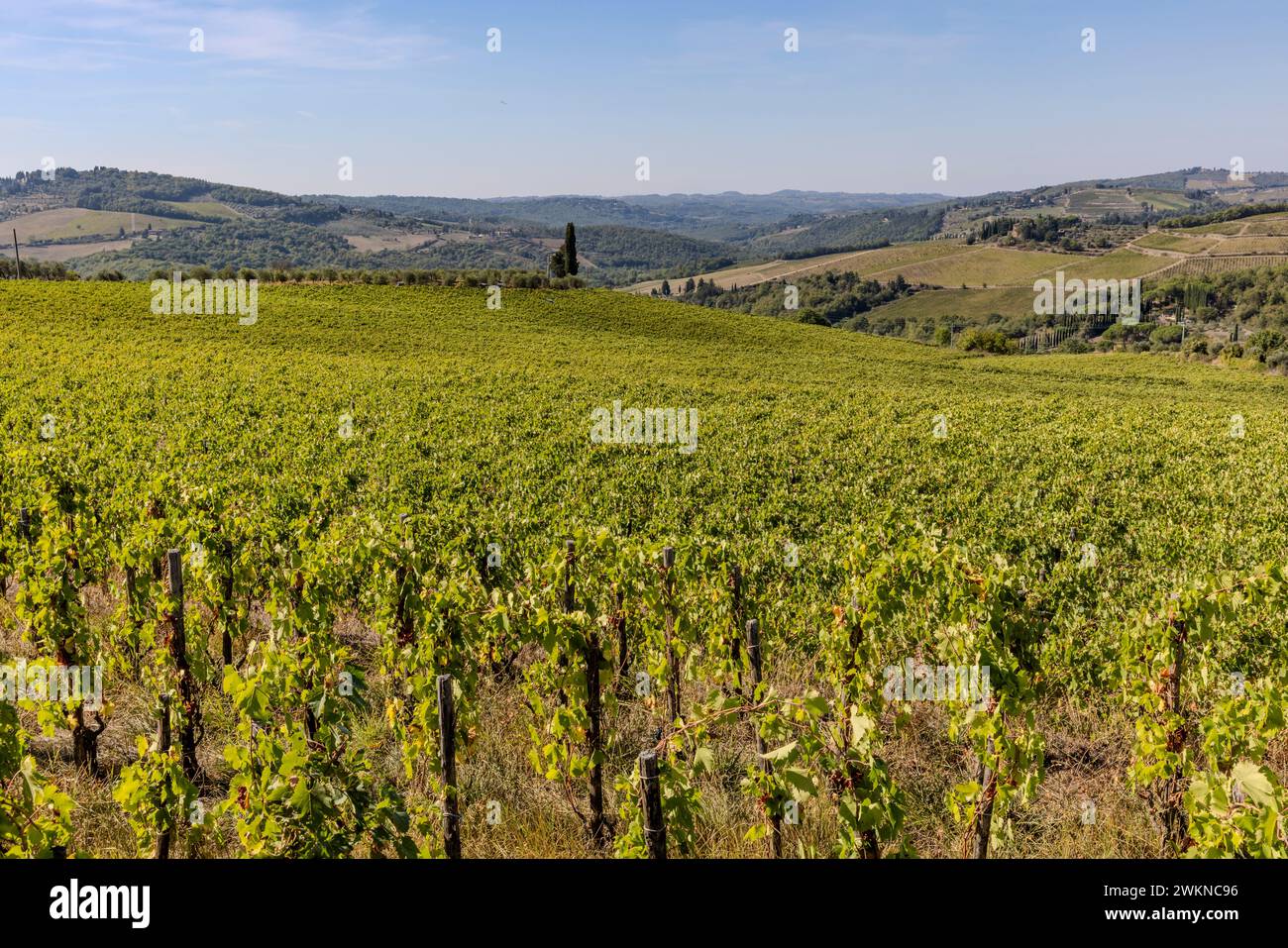 Weinberge wie der Chianti Highway in der Toskana. Stockfoto