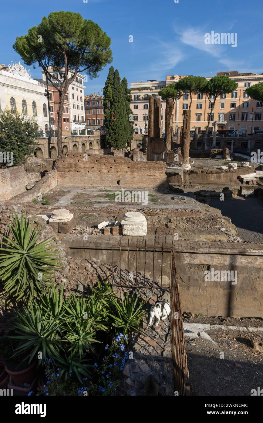 Das Katzenschutzgebiet inmitten der Ruinen in Rom, Italien, wo youÕll gut gepflegte Katzen finden, die in den Ruinen leben, die als heiliges Gebiet von Largo Argentina bekannt sind Stockfoto
