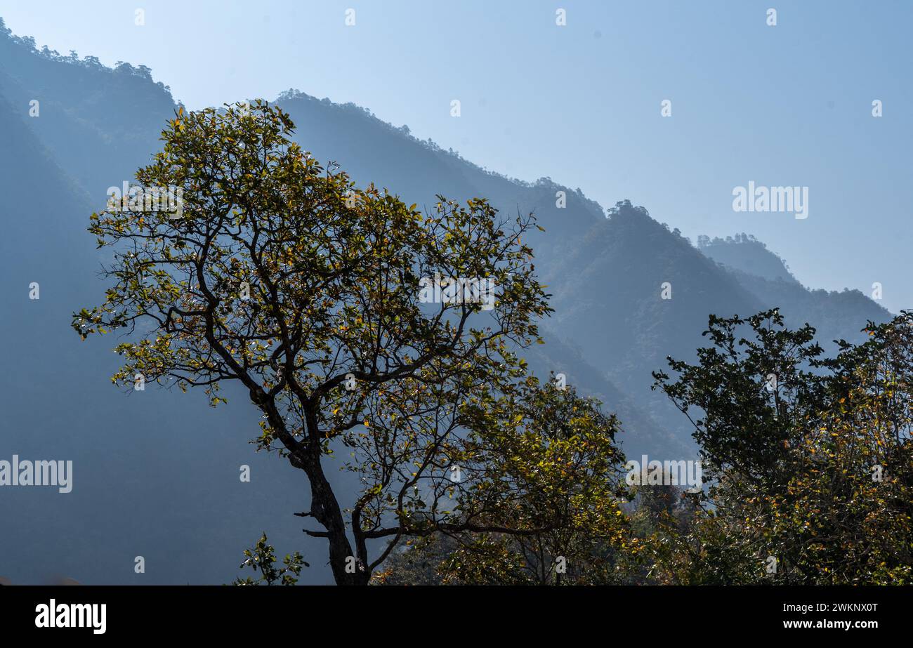 Berglandschaft in der Provinz Mae Hong Son, Thailand Stockfoto
