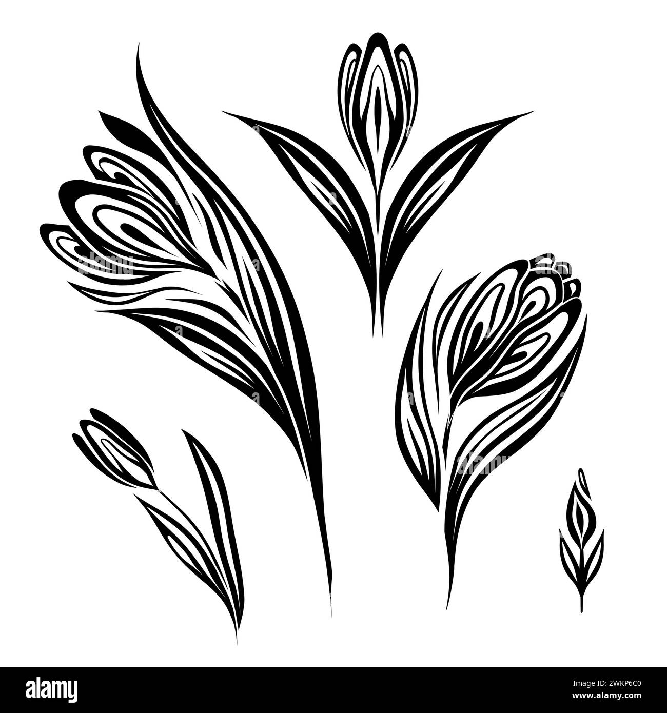 Vektorsatz einfarbiger Frühlingsblumen. Dekorative Tracery-Silhouette-Illustration von Krokussen isoliert vom Hintergrund. Clipart mit Blumenmuster für Aufkleber, Stock Vektor