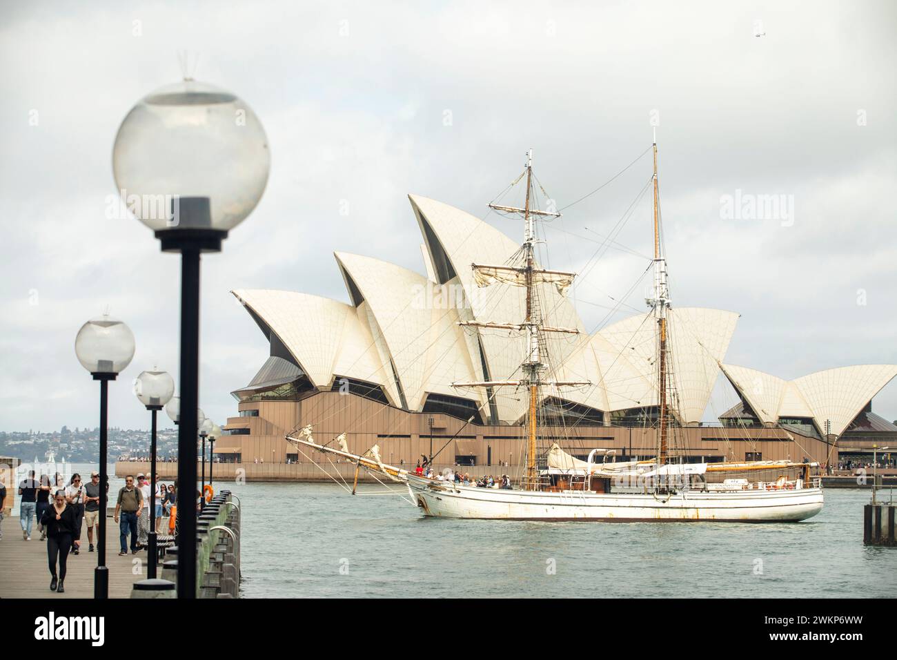 Foto von Tim Cuff - Dezember 2023 - Sydney, Australien Stockfoto