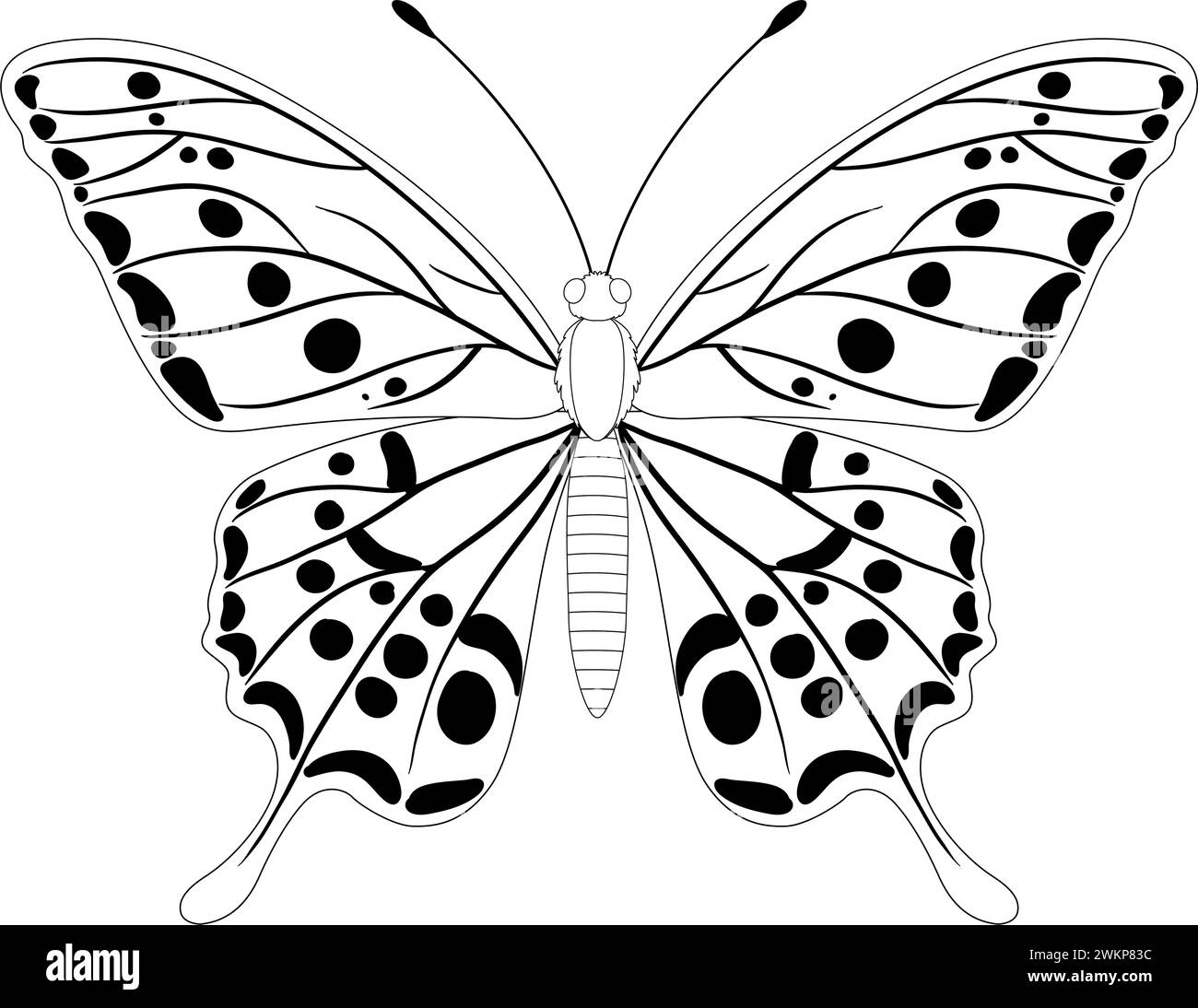 Schwarz-weiß-Illustration eines Schmetterlings Stock Vektor