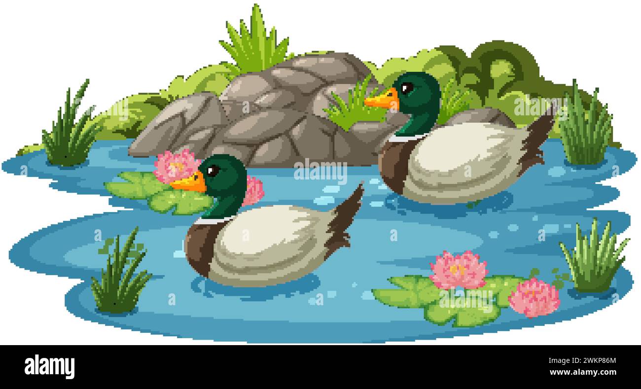 Zwei Enten gleiten friedlich auf einem ruhigen Teich. Stock Vektor