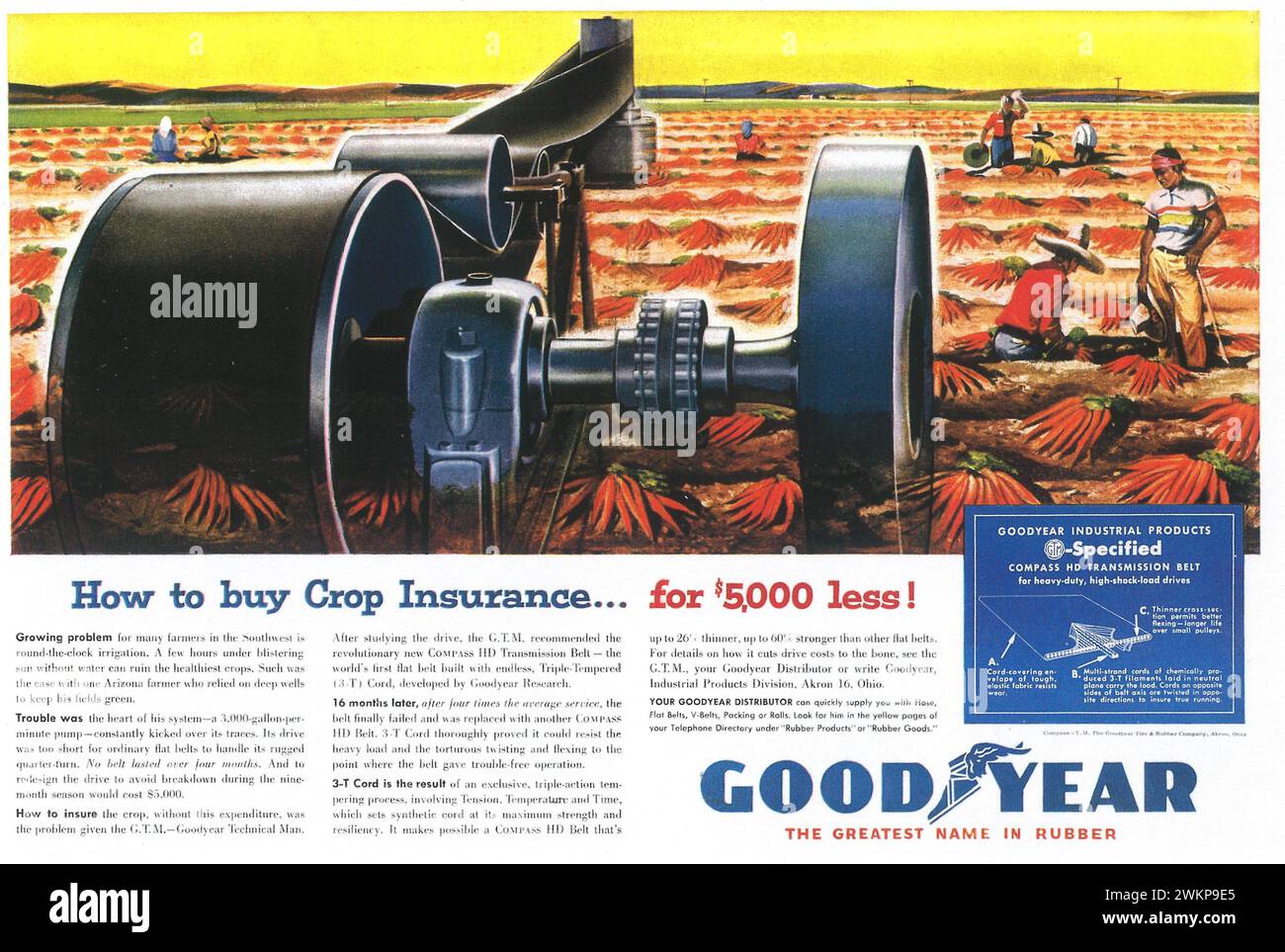 1955 Goodyear-Werbespot mit Gummidruck. Kompass-HD-Antriebsriemen. Stockfoto