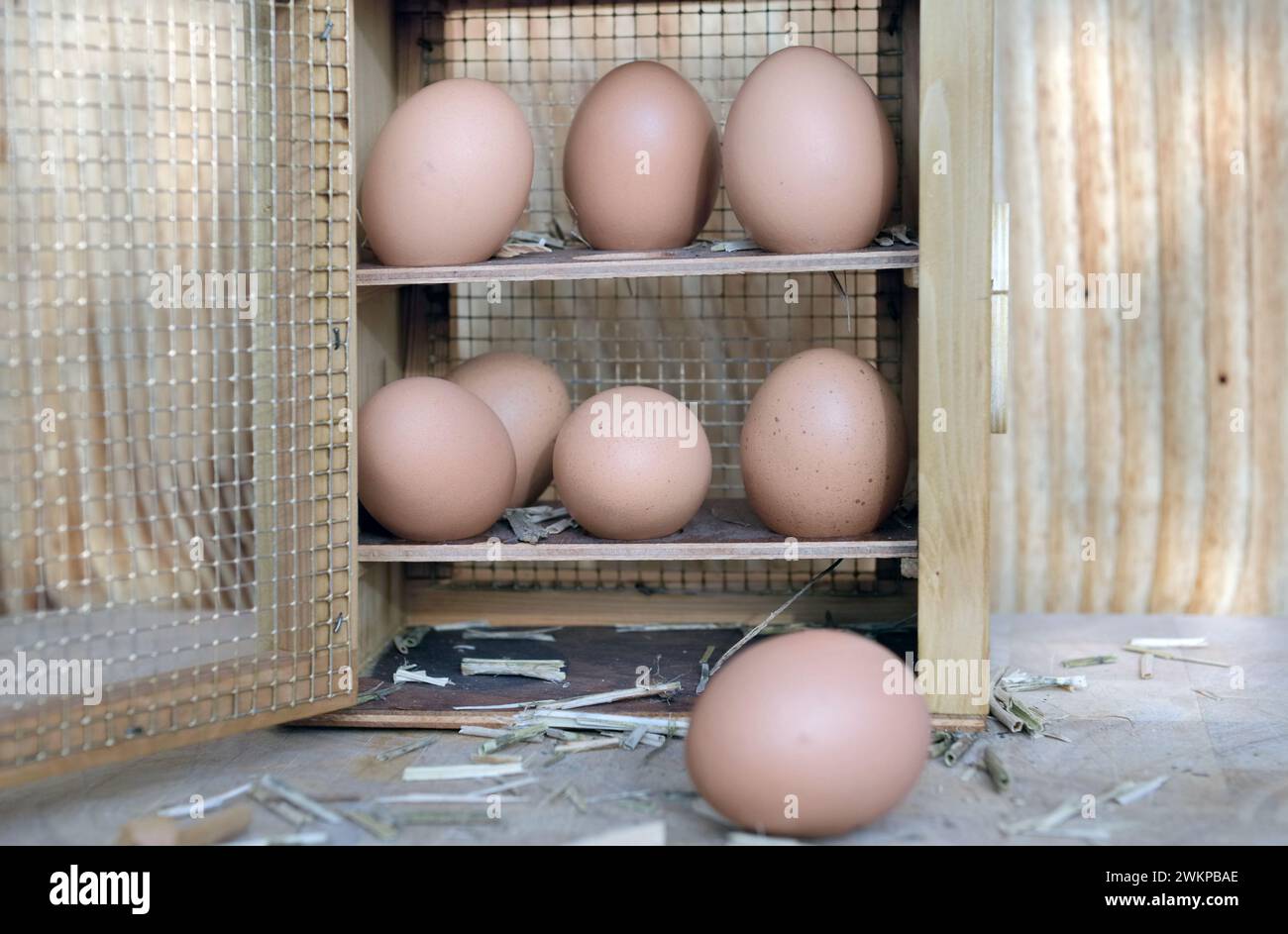 Vorderansicht auf Hühnereier in einer rustikalen Box, die auf hölzernem Hintergrund geöffnet ist Stockfoto