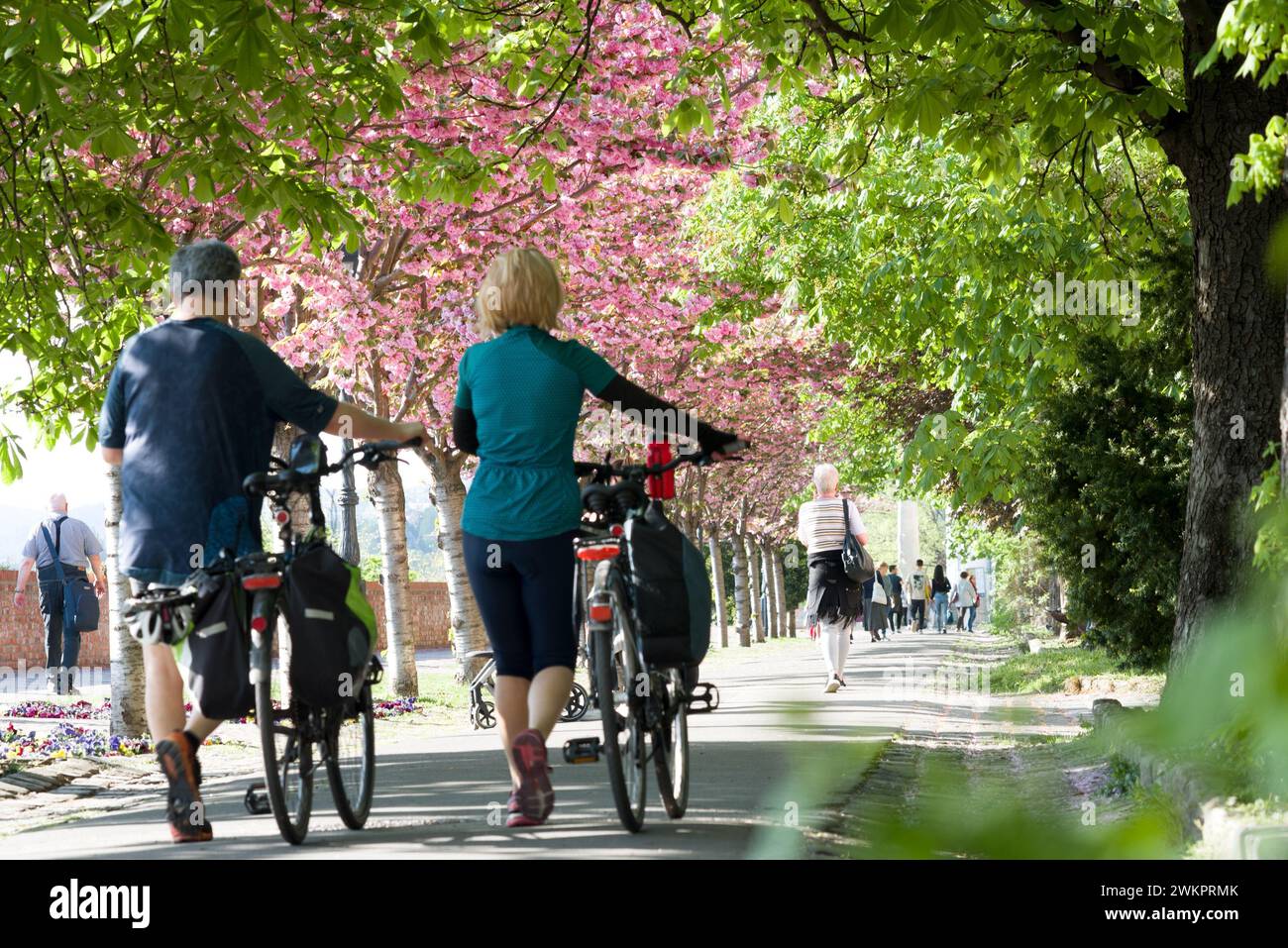 Ein paar rollende Fahrräder entlang der Parkallee Stockfoto