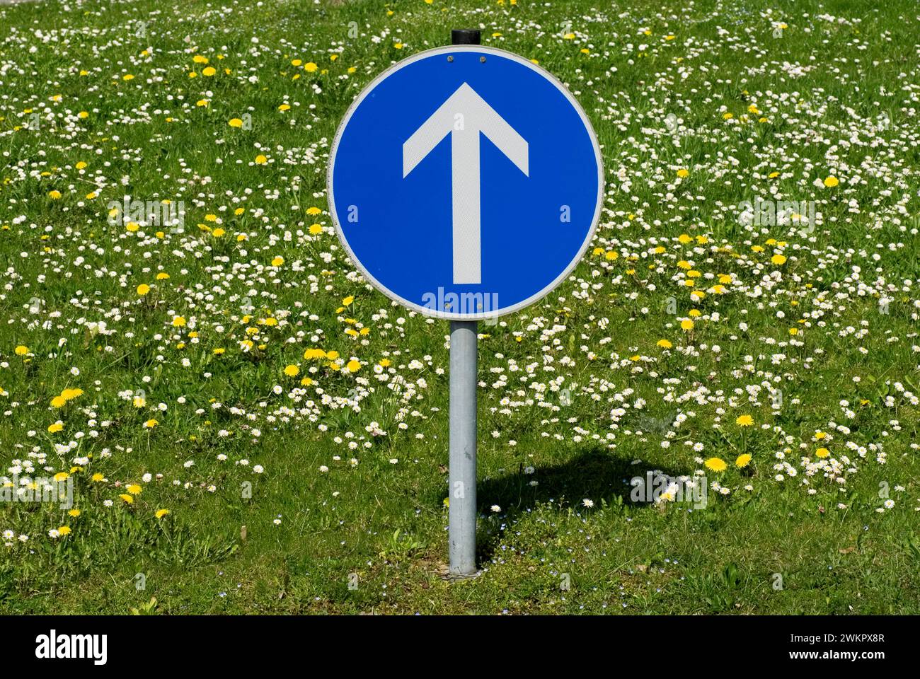 Der Pfeil der Verkehrsschilder zeigt nach München, Oberbayern, Deutschland Stockfoto