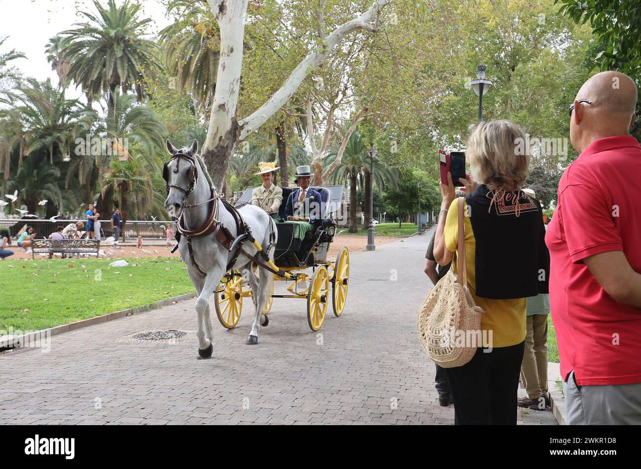 Córdoba, 16.09.2023. Wettbewerb mit Wagen und Gurtzeug innerhalb von Cabalcor. Foto: Valerio Merino. ARCHCOR. Quelle: Album / Archivo ABC / Valerio Merino Stockfoto