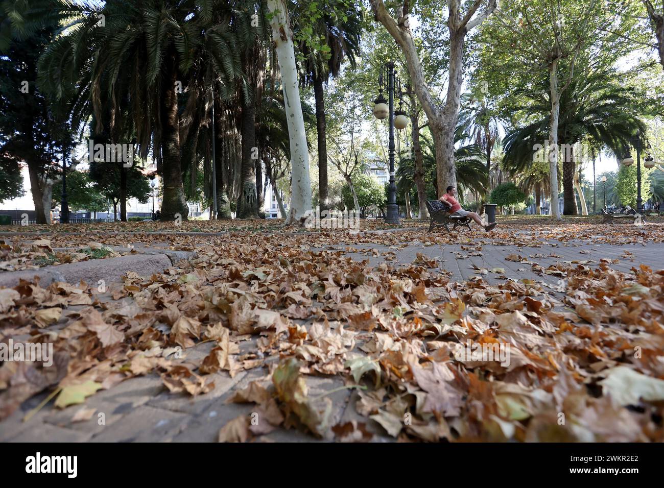 Córdoba, 13.08.2023. Colón Park mit einem herbstlichen Auftritt im August. Foto: Valerio Merino. Archcor. Quelle: Album / Archivo ABC / Valerio Merino Stockfoto