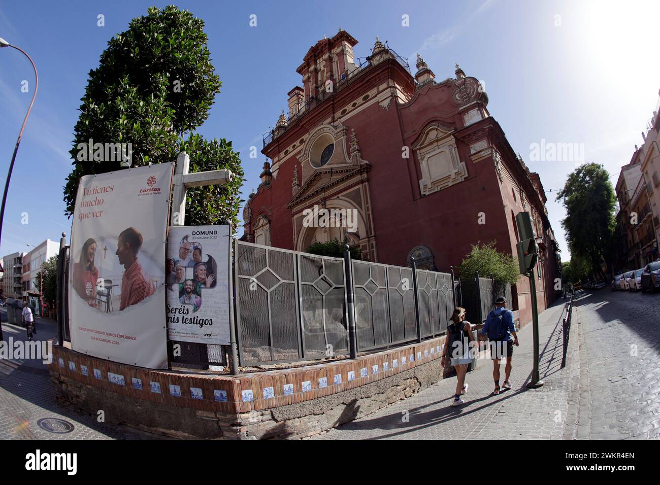 Sevilla, 15.08.2023. Melden Sie sich beim Ficus de San Jacinto. Foto: Juan Flores. Archsev. Quelle: Album / Archivo ABC / Juan Flores Stockfoto