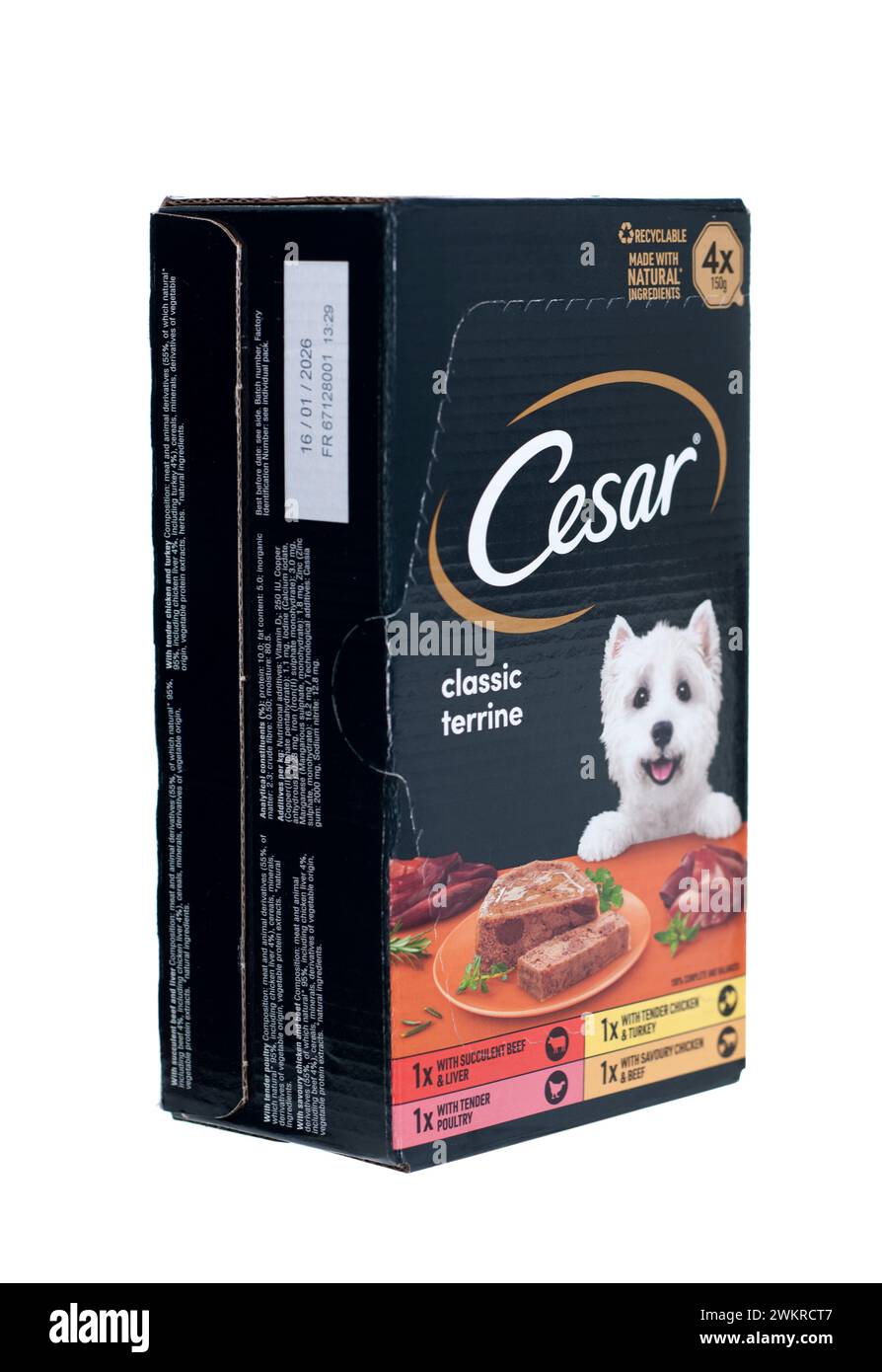 Packung mit 4 Stück Cesar Classic Terrine Komplettfutter für Hunde Stockfoto