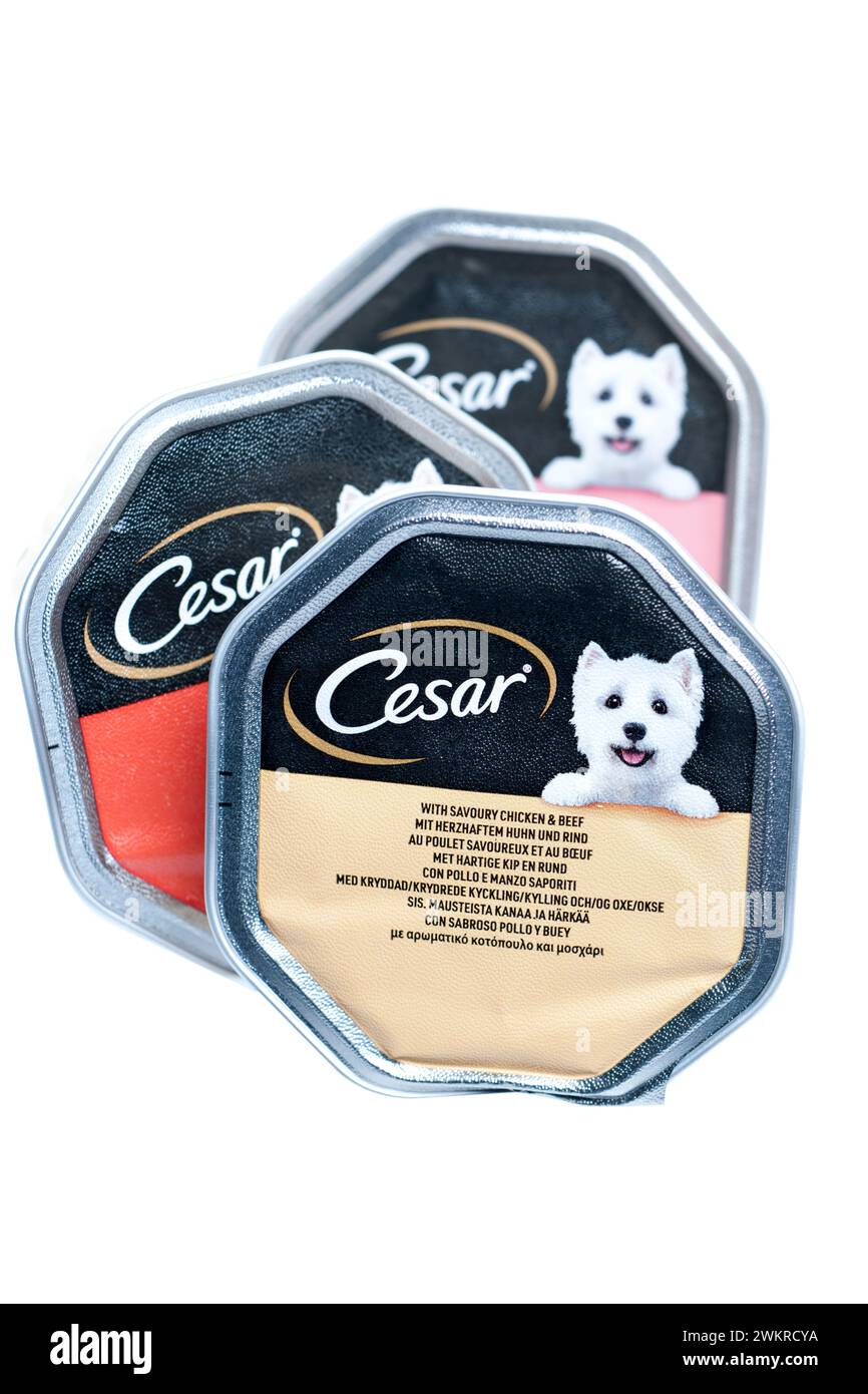 Drei Tabletts Cesar Classic Terrine komplett Hundefutter Stockfoto