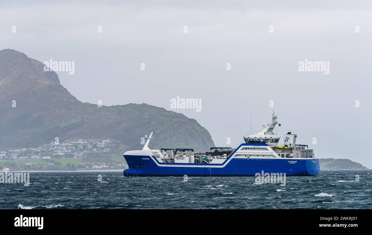 Fischereifahrzeug - RO FORTUNE, ALESUND, Geirangerfjord, Norwegen Stockfoto