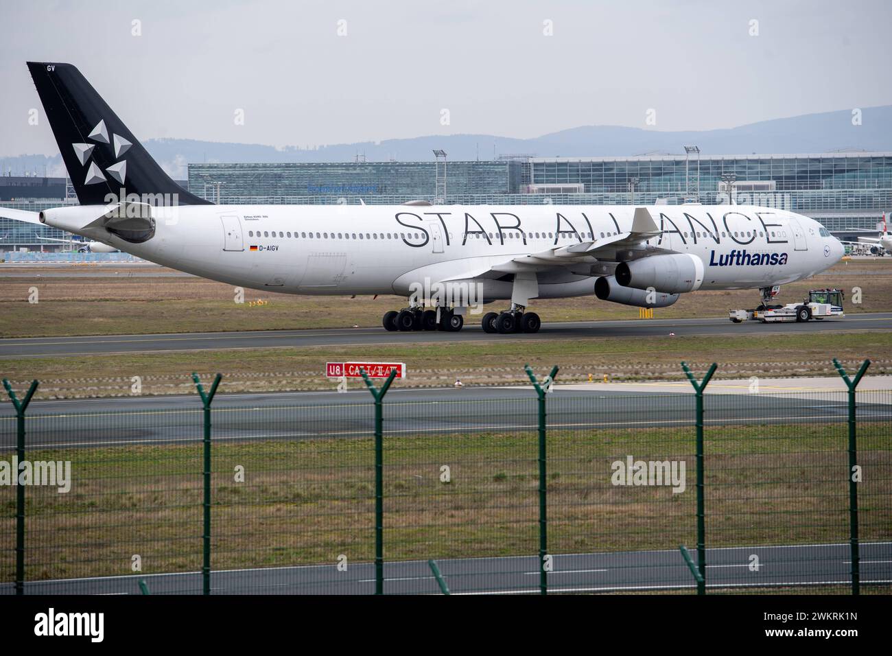 Ein Airbus A 340-300 der Star Alliance Lufthansa Dinslaken wird zum Terminal geschleppt, am Frankfurter Flughafen Fraport 21.02.2024 in Frankfurt, *** ein Airbus A 340 300 der Star Alliance Lufthansa Dinslaken wird zum Terminal am Frankfurter Flughafen Fraport 21 02 2024 in Frankfurt abgeschleppt. Stockfoto