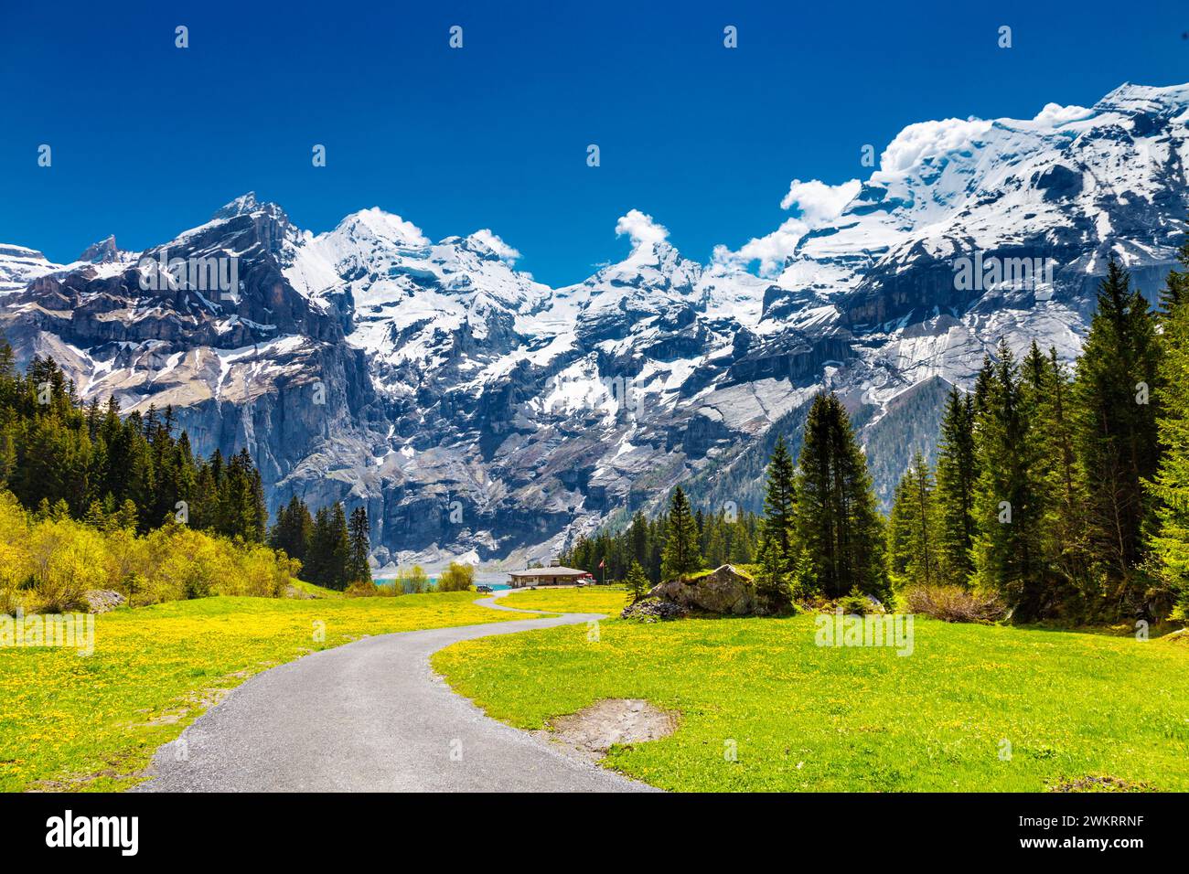 Blick auf Berge, Wiesen und Wälder rund um den See Oeschinen, die Schweizer Alpen, Schweiz Stockfoto