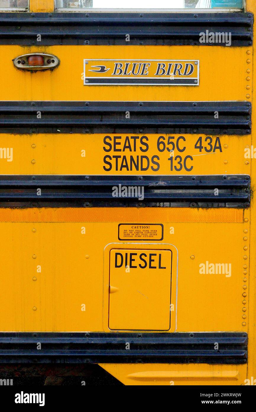 Gelbe und schwarze Lackierung einer Seitenverkleidung an einem American International 3800 DT 466E Bluebird Schulbus mit reflektierendem Klebeband. Stockfoto
