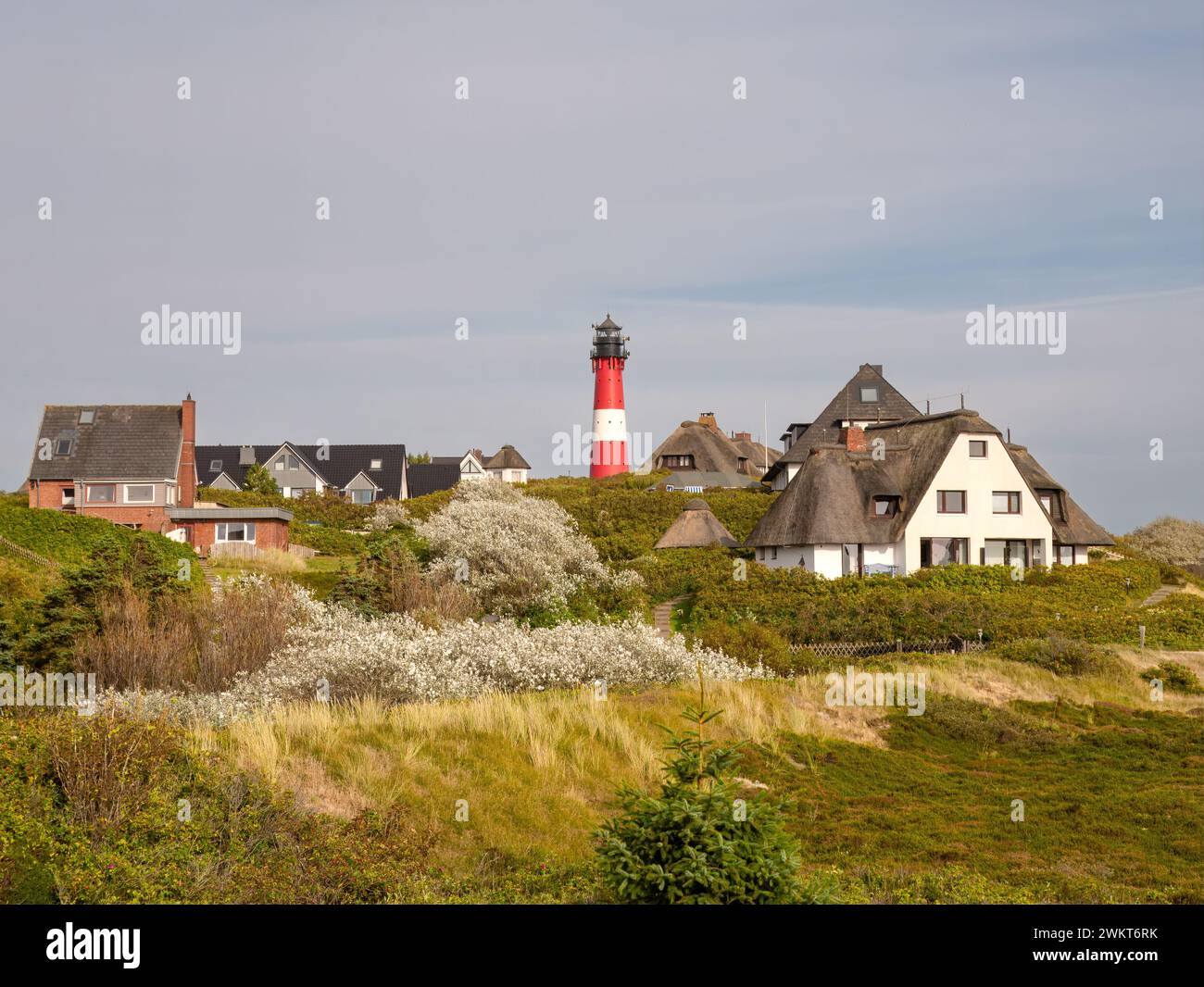 Leuchtturm und Ferienhäuser in den Dünen von Hornum auf der Insel Sylt, Nordfriesland, Schleswig-Holstein, Deutschland Stockfoto