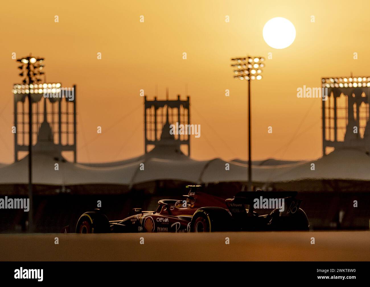 BAHRAIN - 22.02.2024, Carlos Sainz (Ferrari) während des zweiten Testtages auf dem Bahrain International Circuit Sakhir vor Beginn der Formel-1-Saison. ANP REMKO DE WAAL Stockfoto