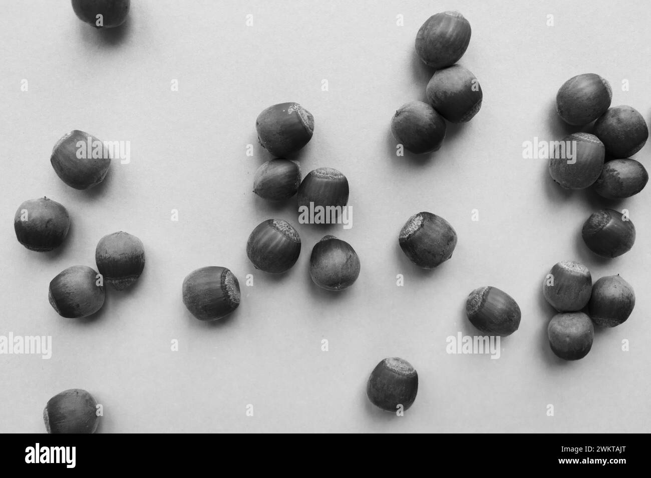 Haufen Haselnüsse, schwarz und weiß. Gruppe von Muttern, monochrom. Gesunde Ernährung. Natürliche Energiequelle. Organisches Fett. Rohkost-Konzept. Vegetarischer Snack Stockfoto