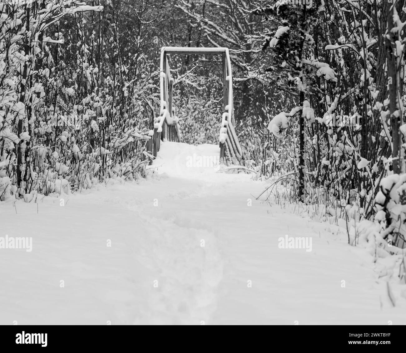 Eine einzige mtn-Radradstrecke führt durch frischen, neu gefallenen Schnee über eine Brücke in der bald Mountain State Recreation Area, Orion Township, Michigan Stockfoto