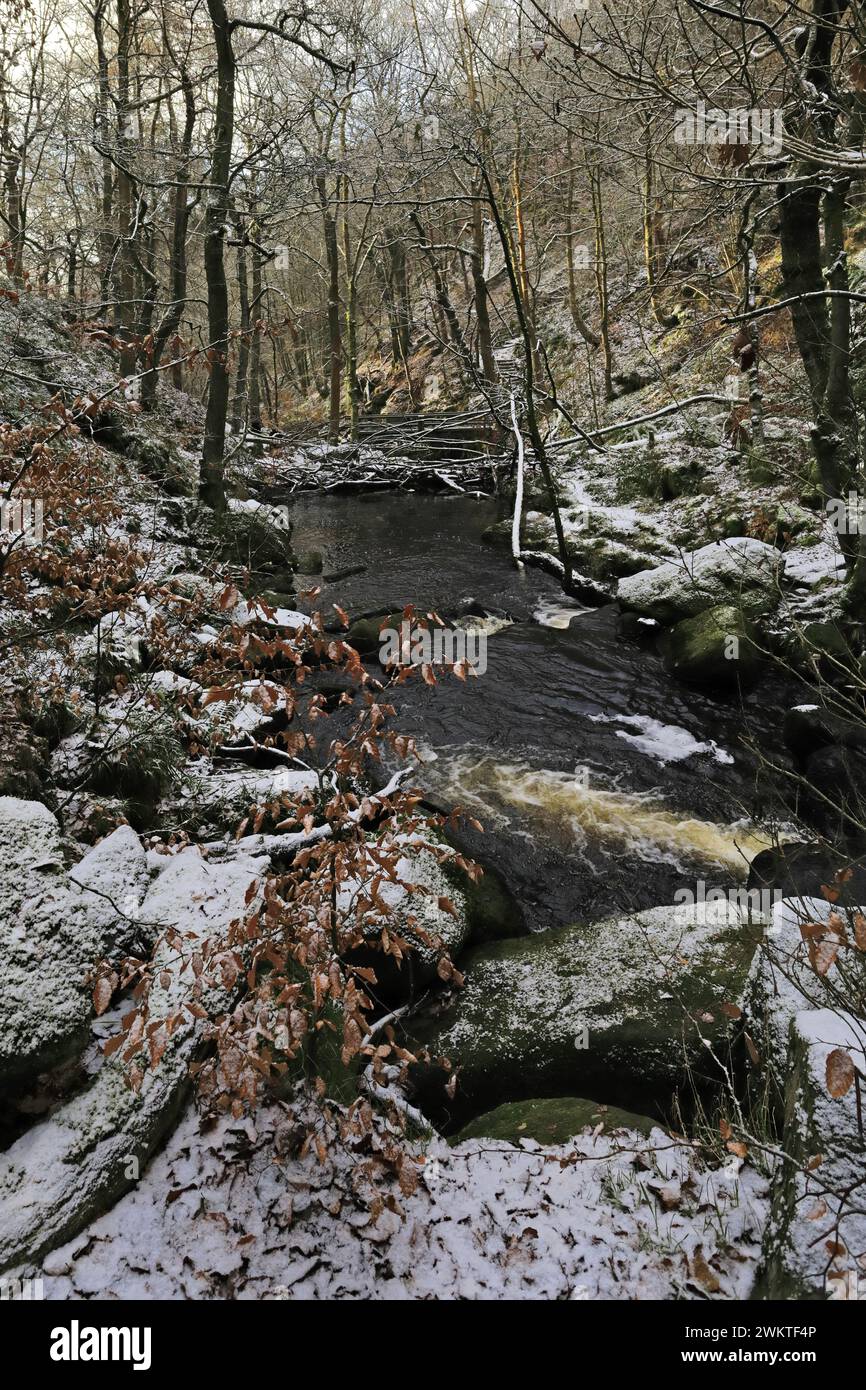 Winteransicht der alten Wälder in Padley Gorge in der Nähe von Grindleford Village, Peak District National Park, Derbyshire, England, Großbritannien Stockfoto