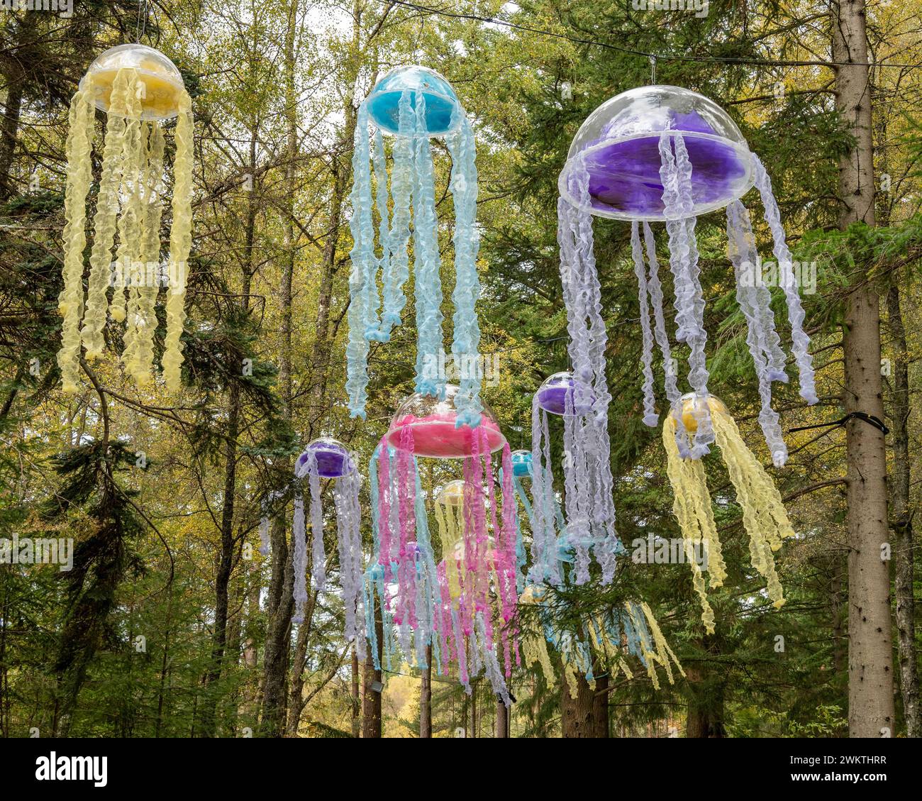 Dekorationen für die Lichtshow „Enchanted Wood“ in Faskally Wood, in der Nähe von Pitlochry, Schottland. Stockfoto